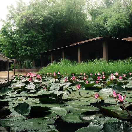 Hampi'S Whiskers Resort Екстер'єр фото