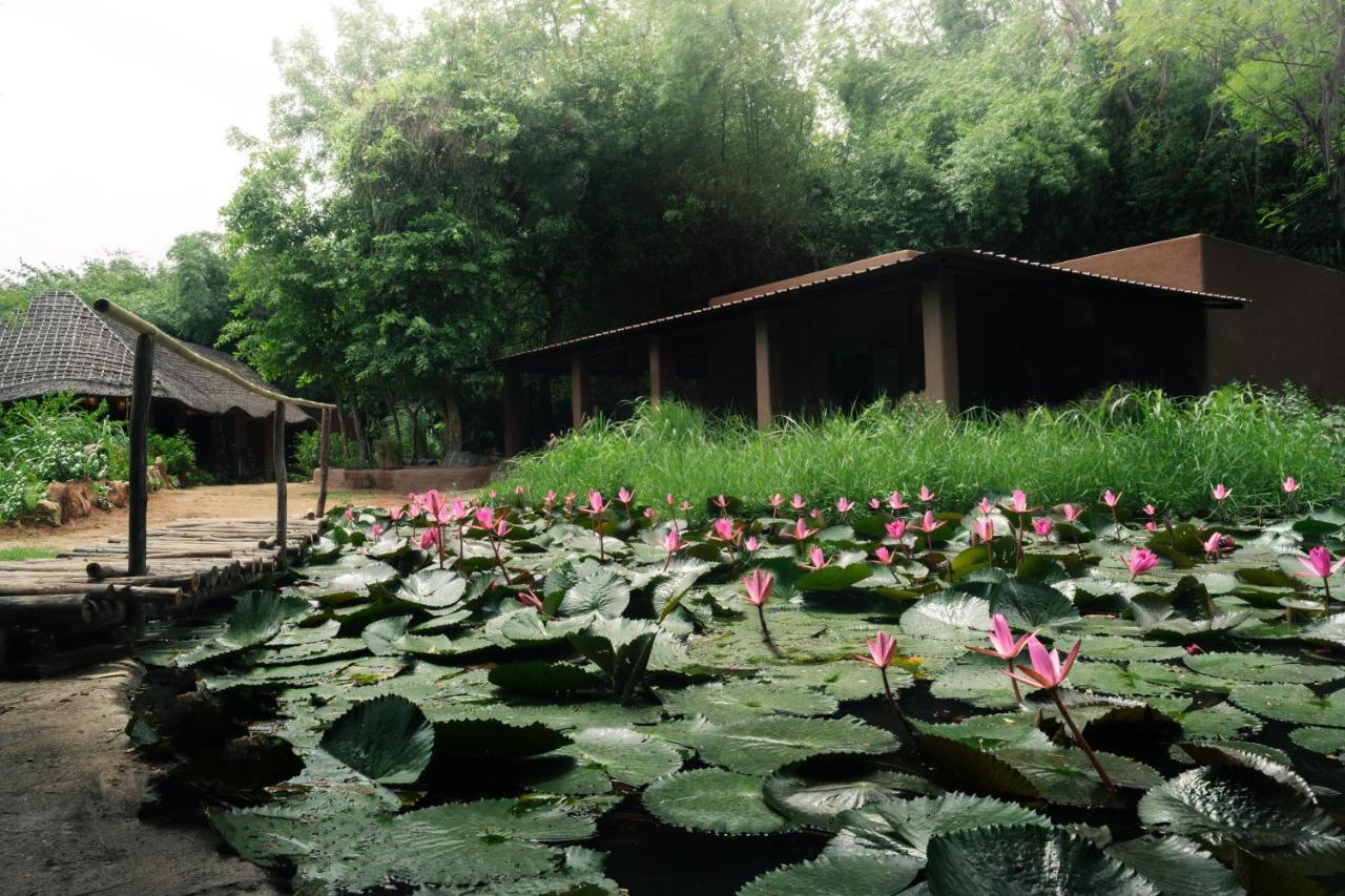 Hampi'S Whiskers Resort Екстер'єр фото